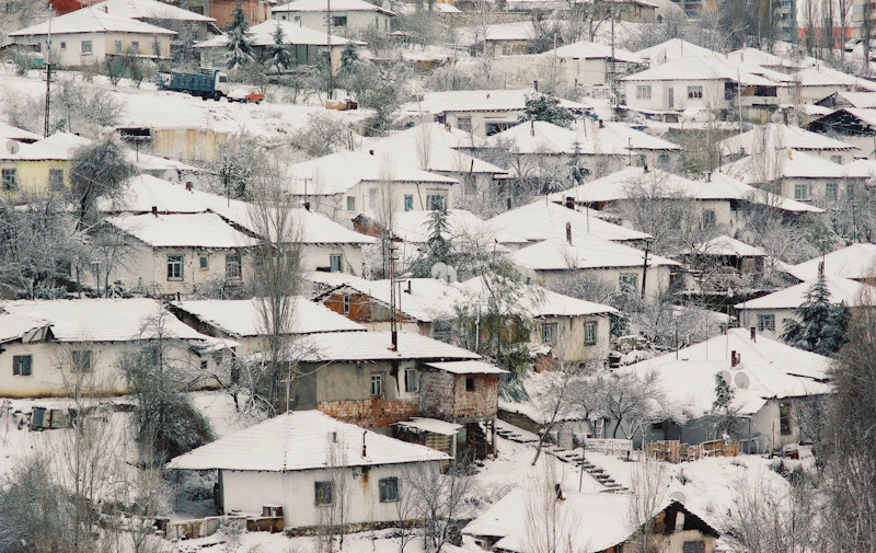 white and brown houses covered with snow during daytime