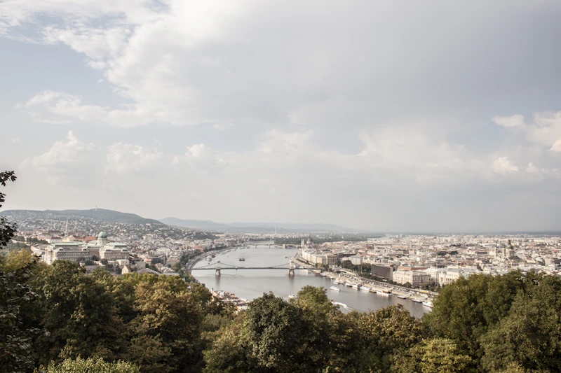 forest, city, and bridge during day