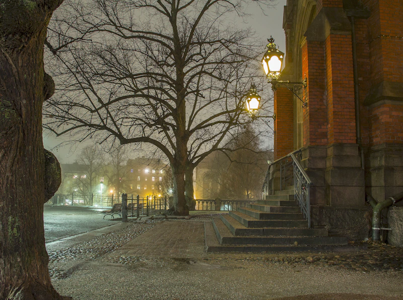 bare trees on sidewalk during daytime