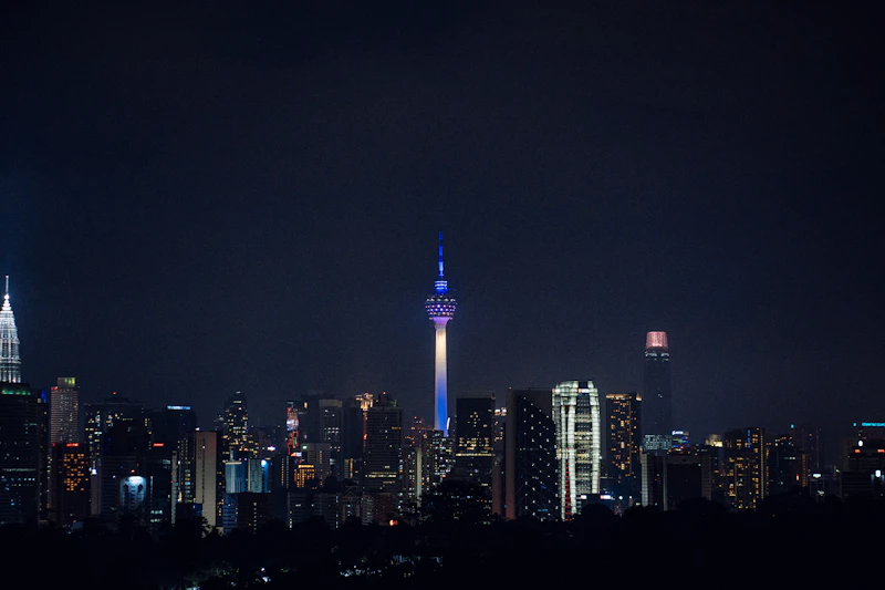 a view of a city skyline at night