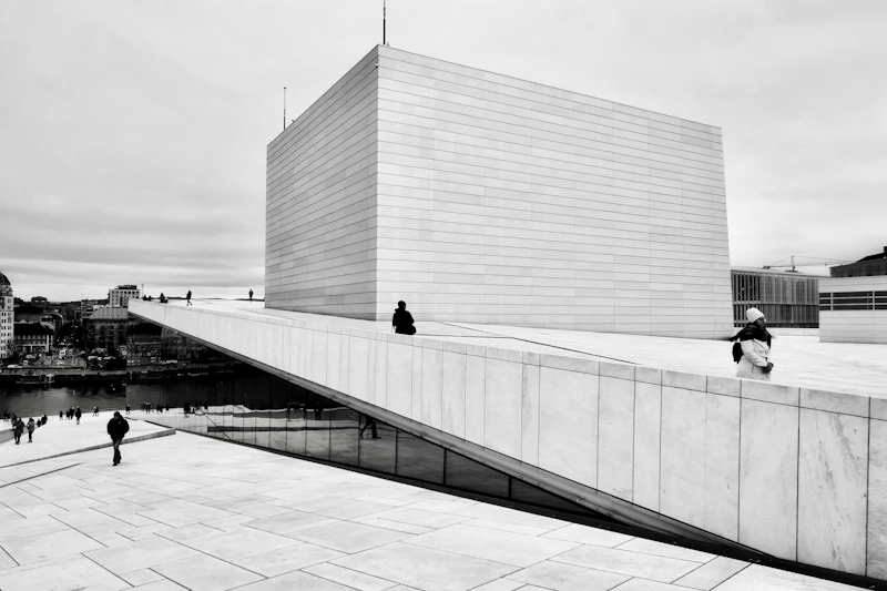 a black and white photo of people walking on a walkway