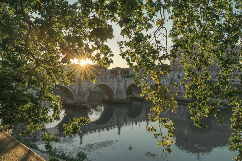 green trees near body of water during daytime