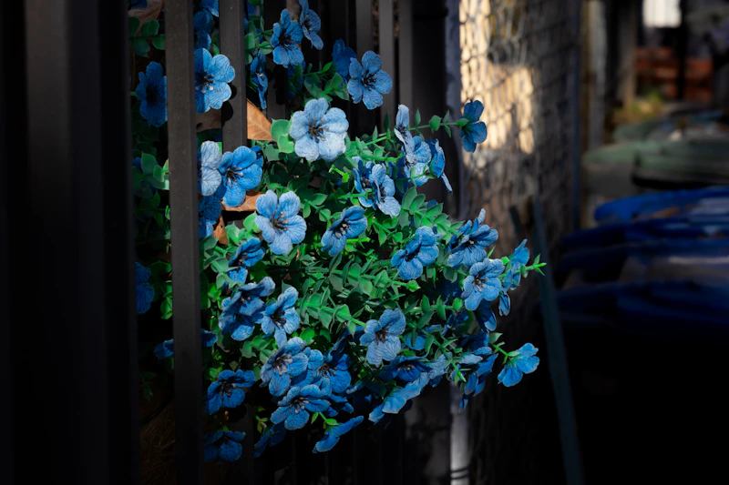 A bunch of blue flowers hanging from a metal fence